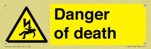 Danger of death